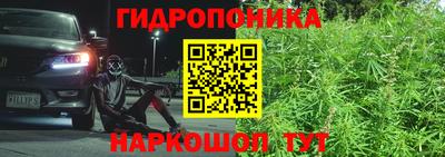 a pvp Пенза
