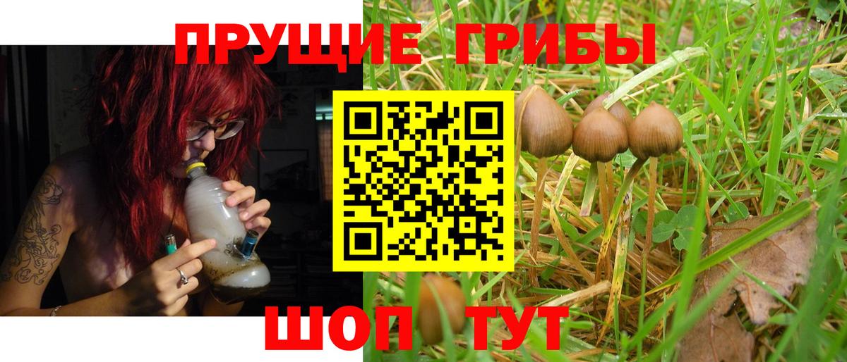 Псилоцибиновые грибы Psilocybe Ростов-на-Дону